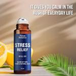 Calming Essential Oil Roll-On with Lavender & Frankincense