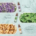 Aromatherapy Essential Oils Roll-On Gift Set