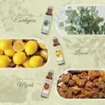 Aromatherapy Essential Oils Roll-On Gift Set