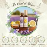 Aromatherapy Essential Oils Roll-On Gift Set