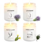 4 Pack Aromatherapy Soy Wax Candle Gift Set