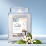Yankee Candle Holiday Calm Scented Jar 22oz