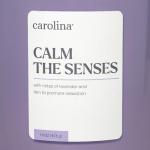 Carolina Calm Lavender & Fern Relaxing Candle