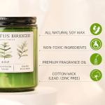 Eucalyptus & Mint Soy Candles for Relaxation