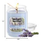 Fresh Lavender Breeze Aromatherapy Candle, 18 oz