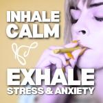 Chewable Breather Quit Smoking Stick with Essential Oils