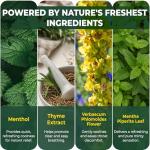 Airanora Mint Smokeless Inhaler | Natural Aroma Stick