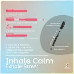 Cigtrus Nicotine-Free Quit Smoking Inhaler - Spearmint