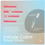 Cigtrus Nicotine-Free Quit Smoking Inhaler – Peppermint