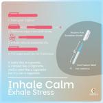 Cigtrus Smokeless Air Inhaler - Pack of 2