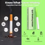 Natural Quit Smoking Inhaler – Mint Flavor (2PCS)