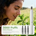 Astinphere Smokeless Inhaler Pen - Spearmint Flavor