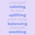 Kids Sweet Slumber Essential Oil Roll-On 10 mL