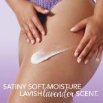 Jergens Lavender Dreams Shea Body Lotion, 14 Fl Oz