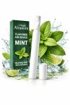 Airanora Mint Smokeless Inhaler | Natural Aroma Stick