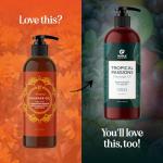 Arnica Massage Oil for Relaxing Sore Muscles