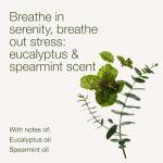 Aromatherapy Eucalyptus Spearmint Body Cream 8 oz