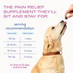 Native Pet Joint Relief Chews for Dogs - 30 Count