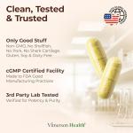 Glucosamine Chondroitin MSM Joint Support Capsules