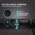 Padded Gait Belt with Quick Release Buckle