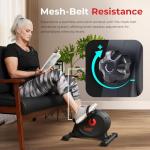 Sunny Health & Fitness Under Desk Mini Bike