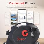 Sunny Health & Fitness Under Desk Mini Bike