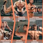 Adjustable Twister Arm Trainer for Chest and Forearms