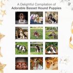 Basset Hound Puppies 2026 Wall Calendar