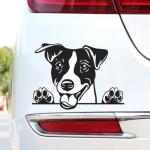 Funny Jack Russell Terrier Car Stickers - 2 Pack