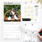 Basset Hound Puppies 2026 Wall Calendar
