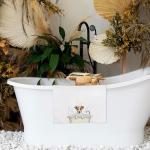 Funny Jack Russell Terrier Hand Towel Set