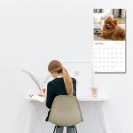 Pomeranian 2026 Wall Calendar for Dog Lovers