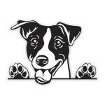 Funny Jack Russell Terrier Car Stickers - 2 Pack
