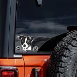 Funny Jack Russell Terrier Car Stickers - 2 Pack