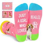 Beagle Love Women's Funny Socks in Pink