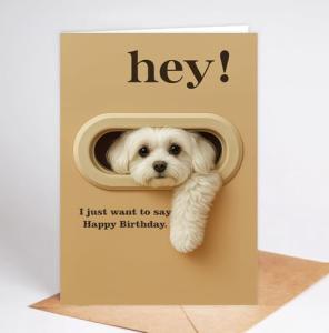 Funny Maltese Birthday Card for Dog Lovers