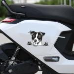 Funny Jack Russell Terrier Car Stickers - 2 Pack