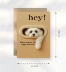 Funny Maltese Birthday Card for Dog Lovers