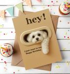 Funny Maltese Birthday Card for Dog Lovers