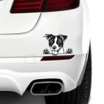 Funny Jack Russell Terrier Car Stickers - 2 Pack
