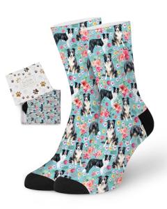 Funny Border Collie Socks for Dog Lovers