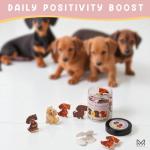 Dachshund Affirmation Jar – 60 Positive Cards