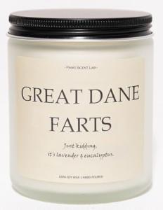 Dog Farts Candle - Lavender & Eucalyptus