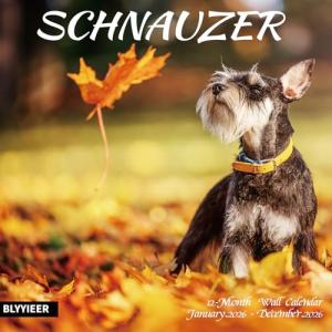 Schnauzer Wall Calendar 2026 for Dog Lovers