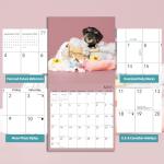 Schnauzer Wall Calendar 2026 for Dog Lovers