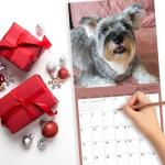 Schnauzer Wall Calendar 2026 for Dog Lovers