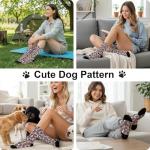 Cavalier King Charles Spaniel Fun Dog Socks