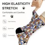 Cavalier King Charles Spaniel Fun Dog Socks