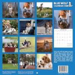 Beagles Monthly Calendar 2026 - Adorable Dog Photos