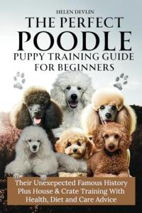 Beginner's Guide to Poodle Puppy Training